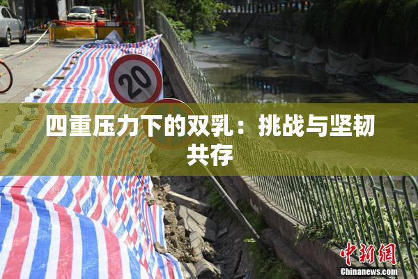四重压力下的双乳：挑战与坚韧共存