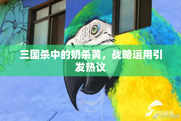 三国杀中的奶杀黄，战略运用引发热议
