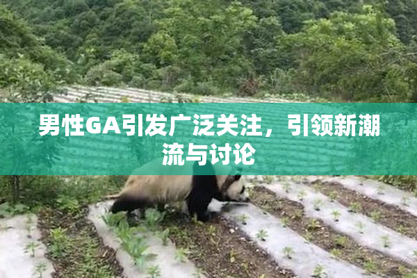 男性GA引发广泛关注，引领新潮流与讨论