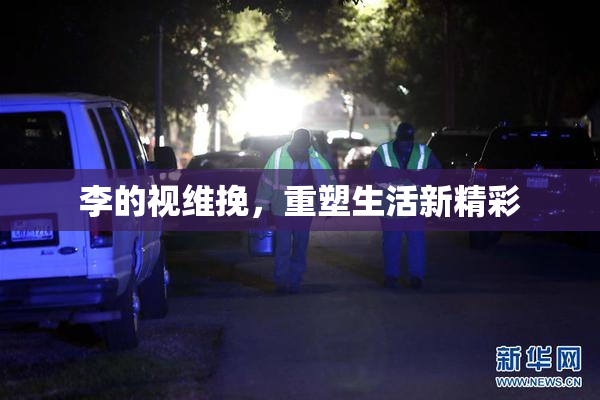 李的视维挽，重塑生活新精彩