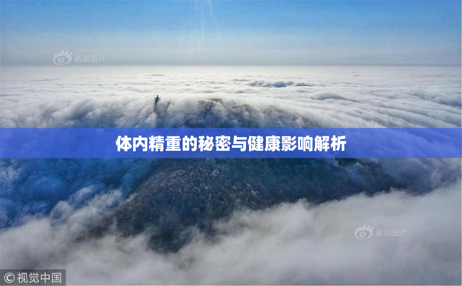 体内精重的秘密与健康影响解析