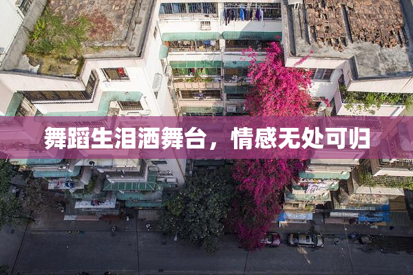 舞蹈生泪洒舞台，情感无处可归