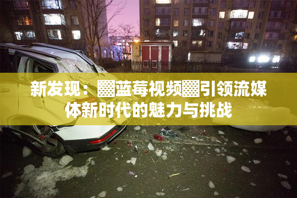 新发现：▓蓝莓视频▓引领流媒体新时代的魅力与挑战