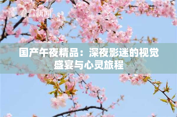 国产午夜精品：深夜影迷的视觉盛宴与心灵旅程