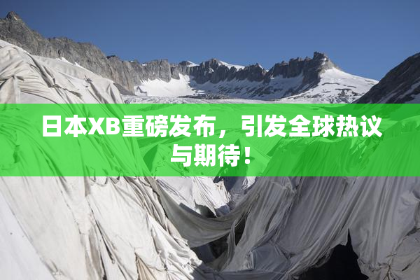 日本XB重磅发布，引发全球热议与期待！
