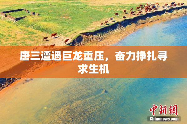 唐三遭遇巨龙重压，奋力挣扎寻求生机
