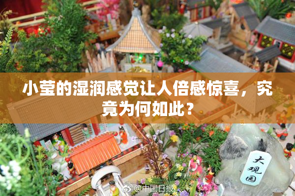 小莹的湿润感觉让人倍感惊喜，究竟为何如此？