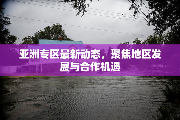 亚洲专区最新动态，聚焦地区发展与合作机遇