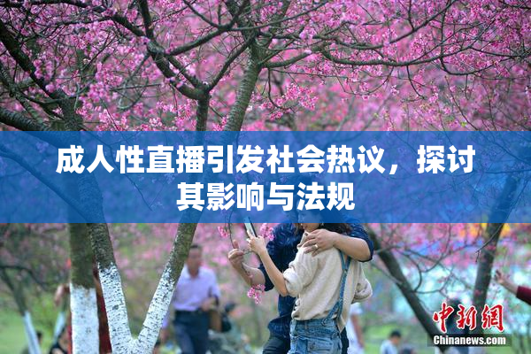 成人性直播引发社会热议，探讨其影响与法规