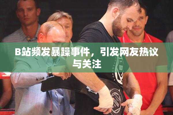 B站频发暴躁事件，引发网友热议与关注