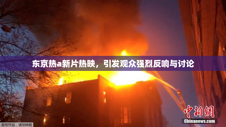 东京热a新片热映，引发观众强烈反响与讨论