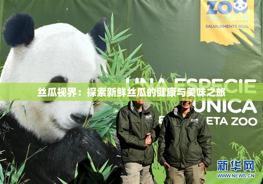 丝瓜视界：探索新鲜丝瓜的健康与美味之旅