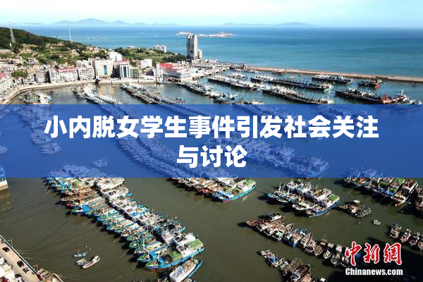 小内脱女学生事件引发社会关注与讨论
