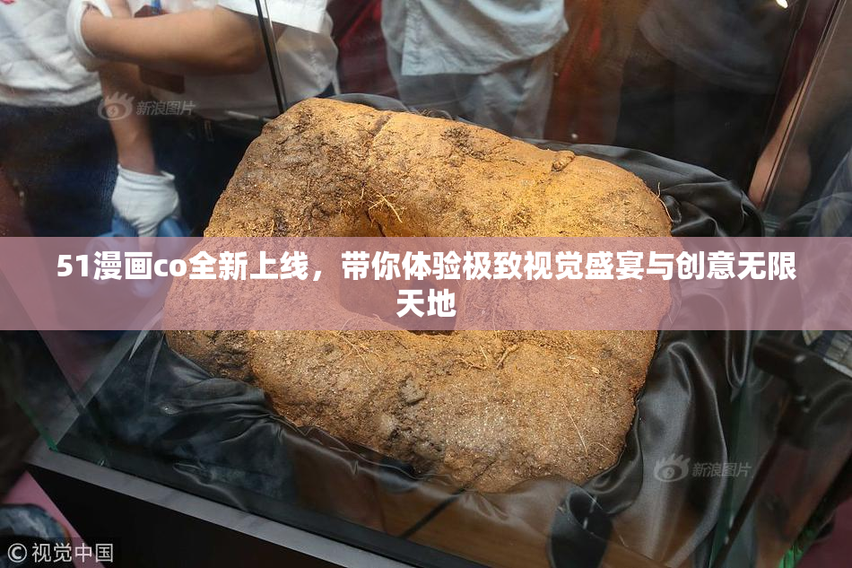 51漫画co全新上线，带你体验极致视觉盛宴与创意无限天地