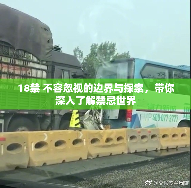 18禁 不容忽视的边界与探索，带你深入了解禁忌世界