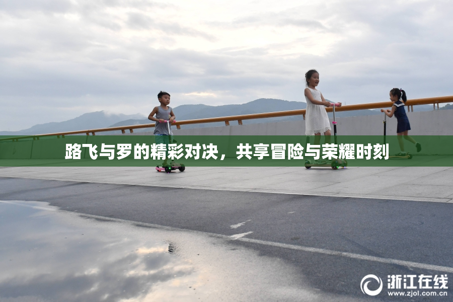 路飞与罗的精彩对决，共享冒险与荣耀时刻