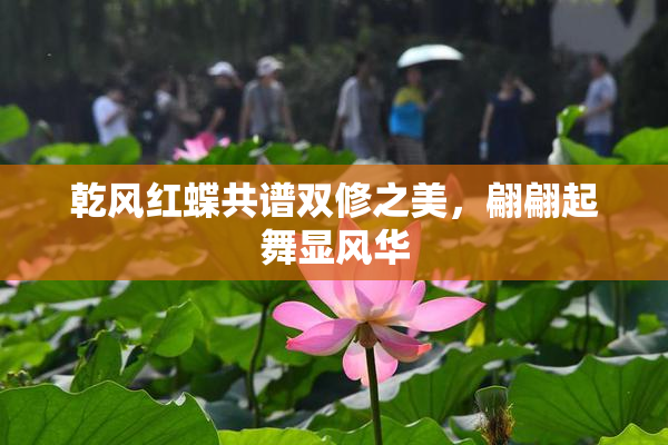乾风红蝶共谱双修之美，翩翩起舞显风华