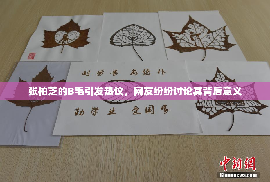 张柏芝的B毛引发热议，网友纷纷讨论其背后意义