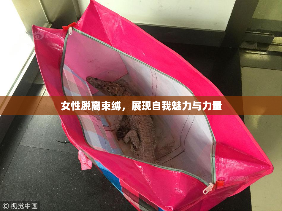 女性脱离束缚，展现自我魅力与力量