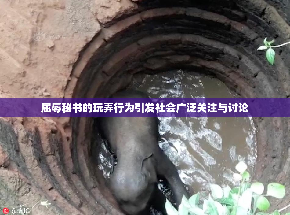 屈辱秘书的玩弄行为引发社会广泛关注与讨论