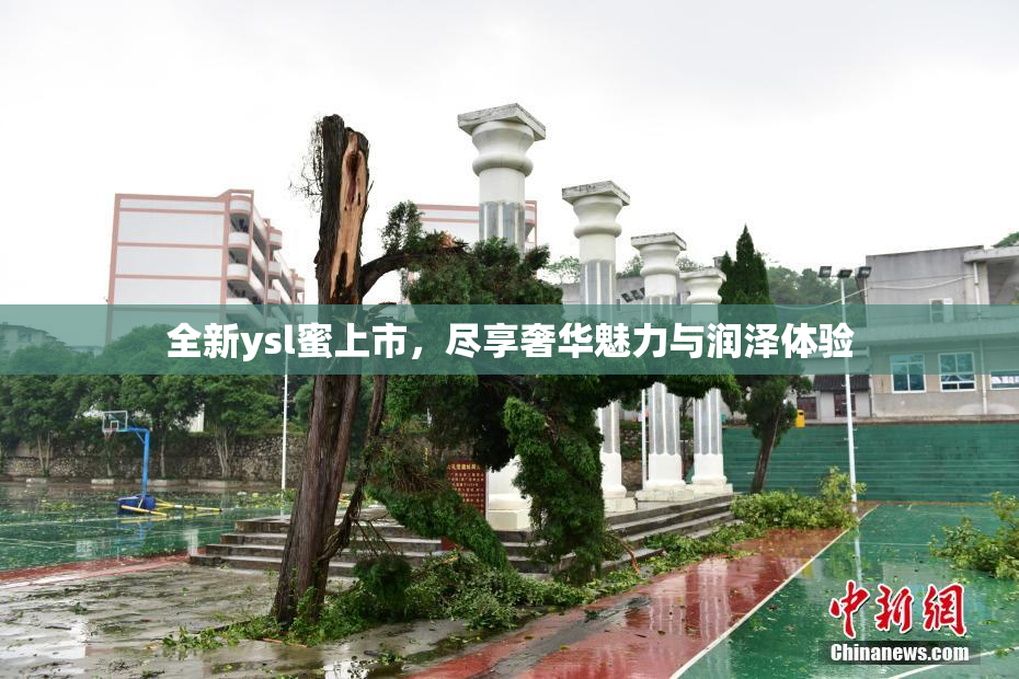 全新ysl蜜上市，尽享奢华魅力与润泽体验