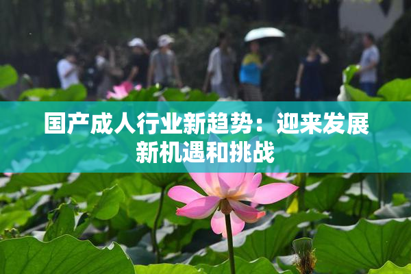 国产成人行业新趋势：迎来发展新机遇和挑战