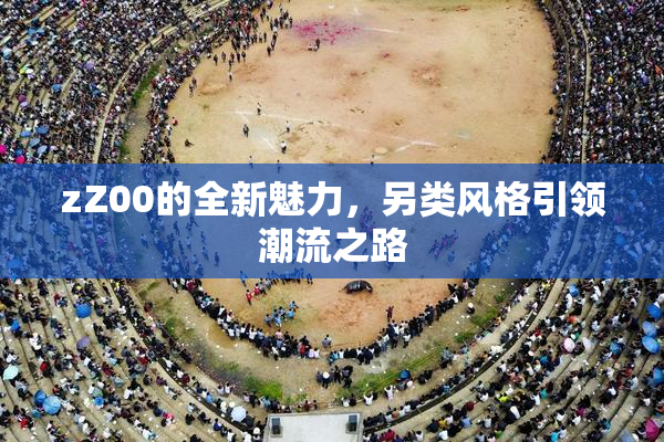 zZ00的全新魅力，另类风格引领潮流之路