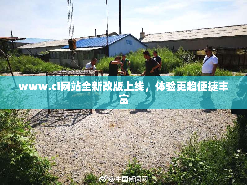 www.ci网站全新改版上线，体验更趋便捷丰富