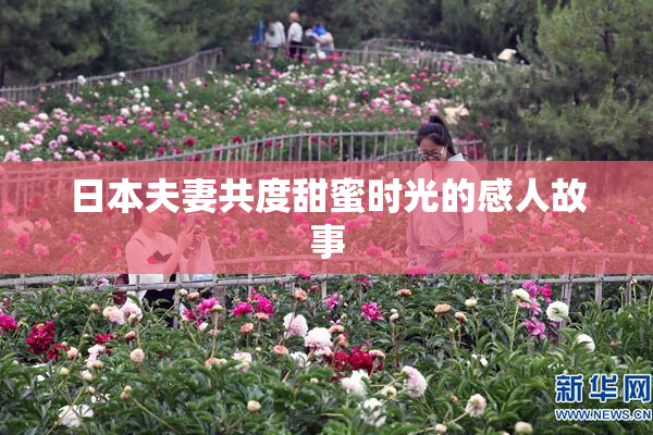 日本夫妻共度甜蜜时光的感人故事