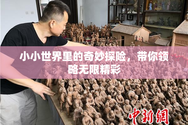 小小世界里的奇妙探险，带你领略无限精彩