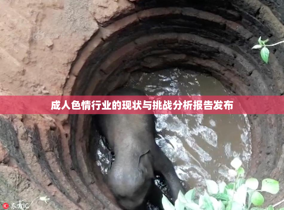 成人色情行业的现状与挑战分析报告发布