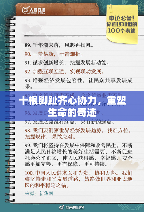 十根脚趾齐心协力，重塑生命的奇迹