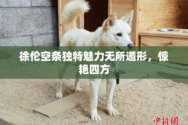 徐伦空条独特魅力无所遁形，惊艳四方