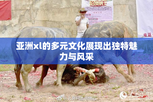 亚洲xl的多元文化展现出独特魅力与风采