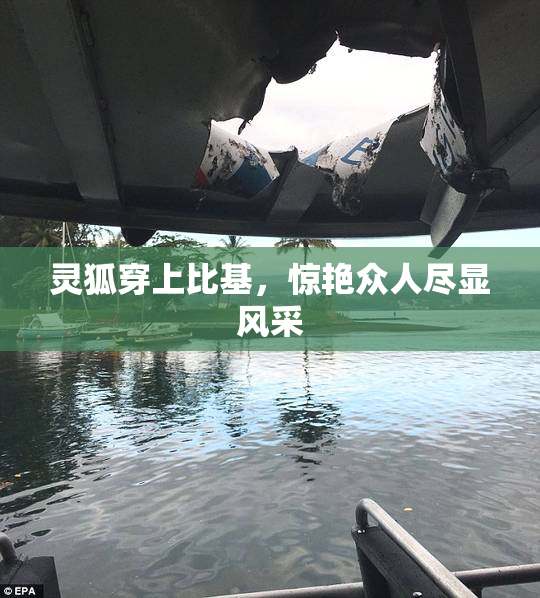 灵狐穿上比基，惊艳众人尽显风采