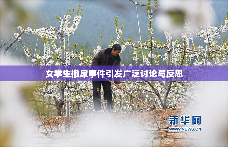 女学生撒尿事件引发广泛讨论与反思