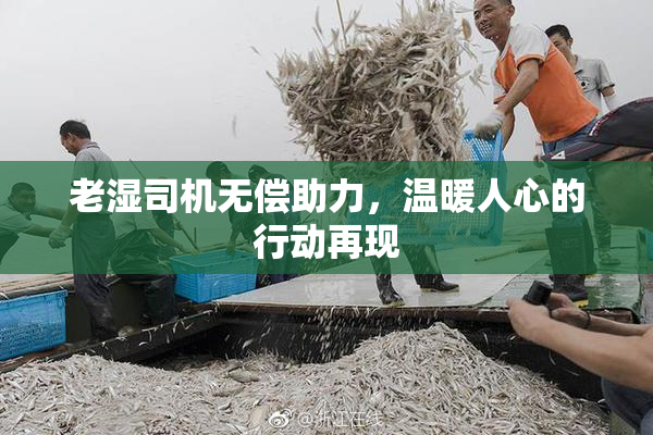 老湿司机无偿助力，温暖人心的行动再现