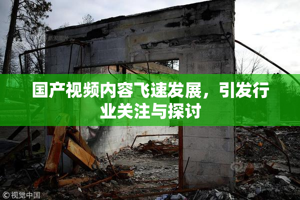 国产视频内容飞速发展，引发行业关注与探讨