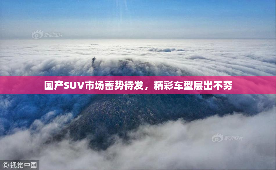 国产SUV市场蓄势待发，精彩车型层出不穷
