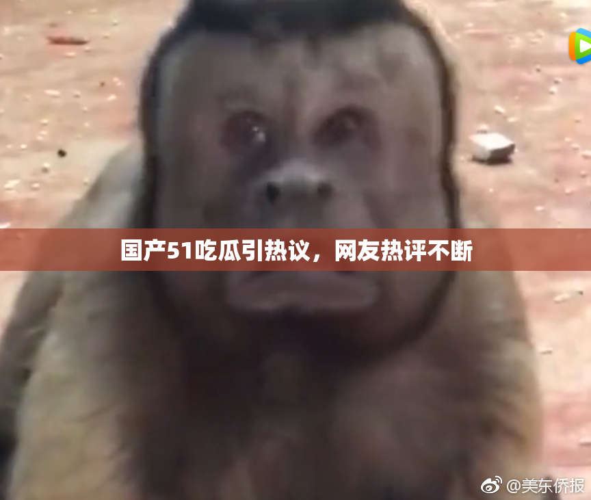 国产51吃瓜引热议，网友热评不断