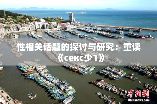 性相关话题的探讨与研究：重读《секс少1》