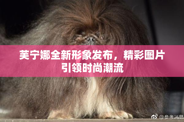 芙宁娜全新形象发布，精彩图片引领时尚潮流