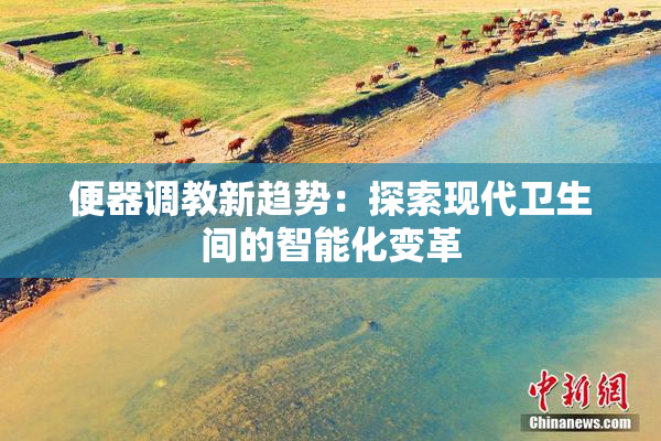 便器调教新趋势：探索现代卫生间的智能化变革