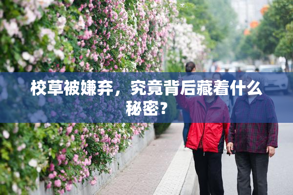 校草被嫌弃，究竟背后藏着什么秘密？