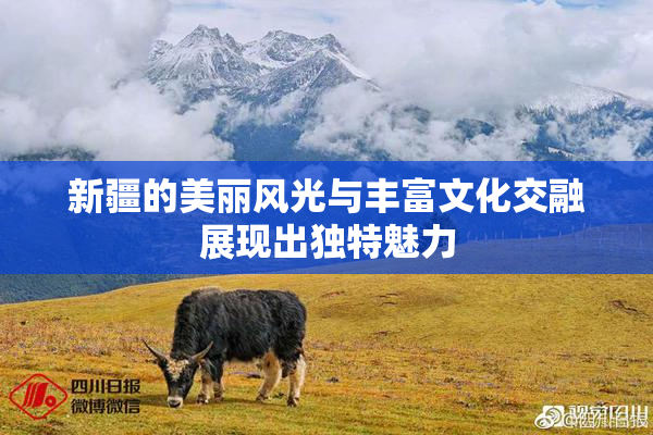 新疆的美丽风光与丰富文化交融展现出独特魅力