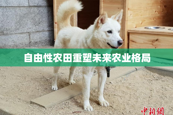 自由性农田重塑未来农业格局