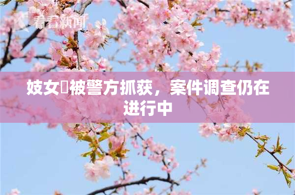 妓女梱被警方抓获，案件调查仍在进行中