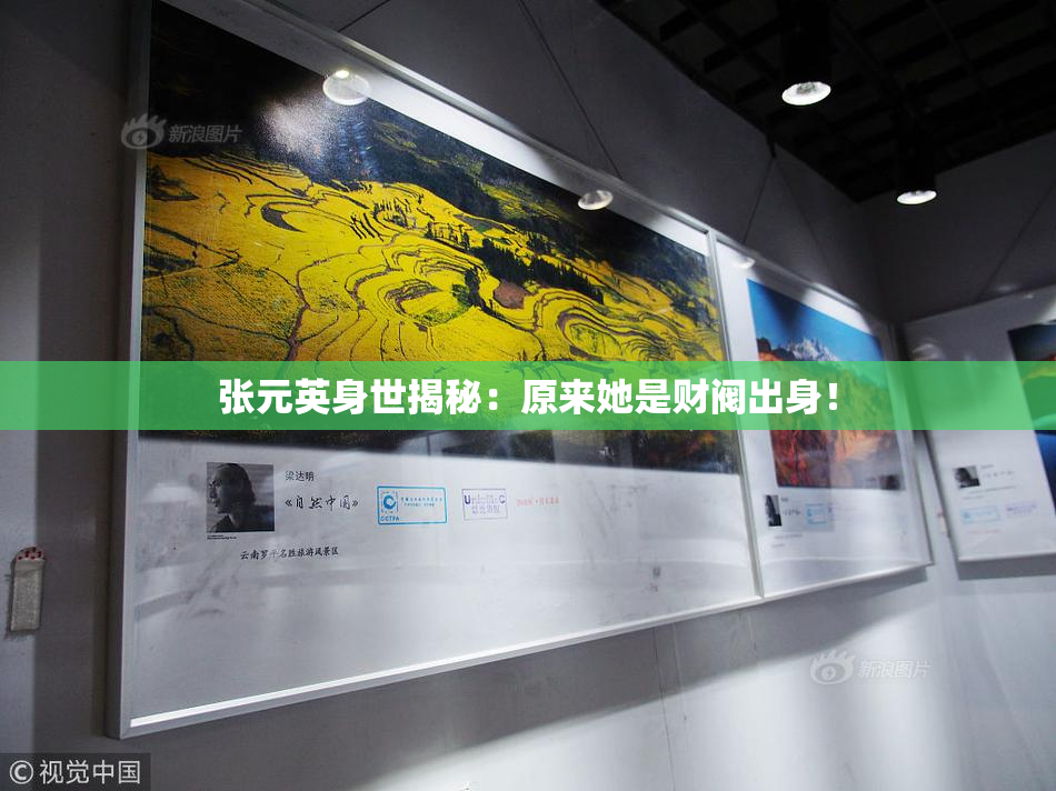 张元英身世揭秘：原来她是财阀出身！