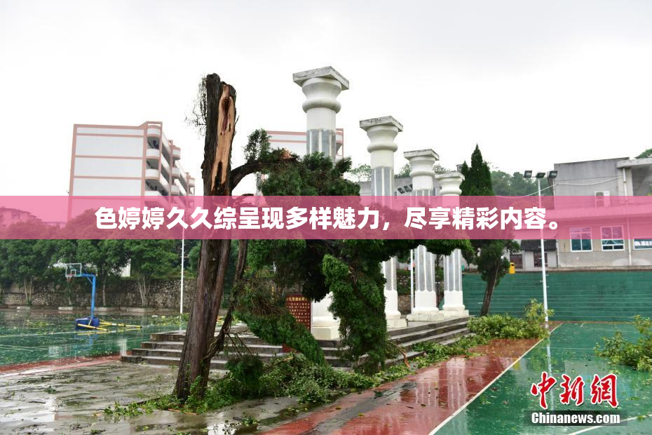 色婷婷久久综呈现多样魅力，尽享精彩内容。