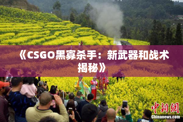 《CSGO黑寡杀手：新武器和战术揭秘》